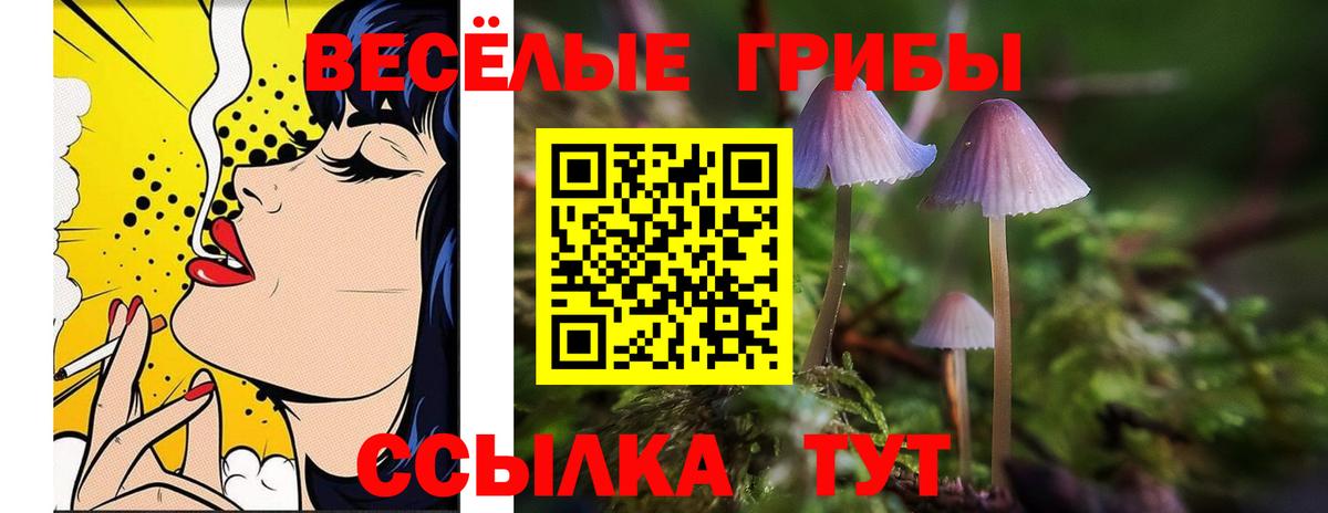 Галлюциногенные грибы мицелий  Вход с VPN  Тимашёвск 