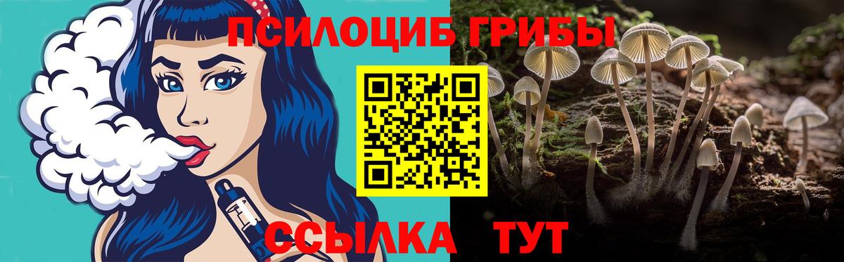 Галлюциногенные грибы GOLDEN TEACHER Тимашёвск